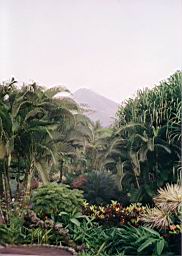 72 balneario Tabacon y volcan Arenal.jpg